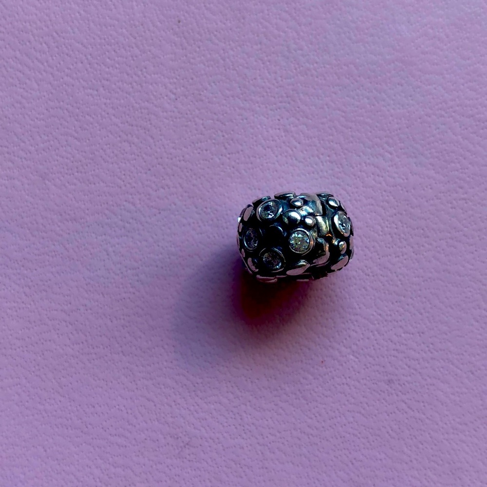 Pandora Clip Charm